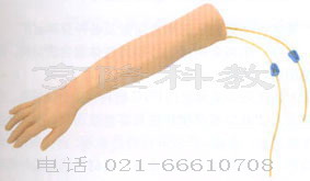 護(hù)理模型|高級手臂靜脈穿刺訓(xùn)練模型