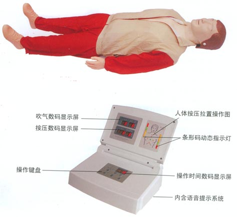 心肺復(fù)蘇模擬人|心肺復(fù)蘇模型|高級全自動電腦心肺復(fù)蘇模擬人