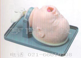 氣管插管訓練模型｜新生兒氣管插管模型