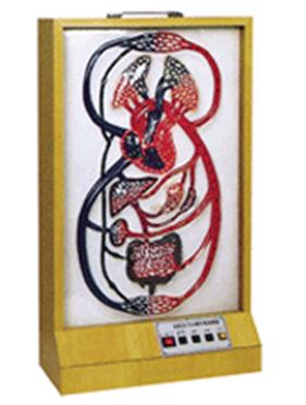 大、小循環(huán)電動模型