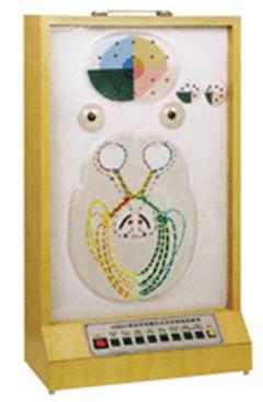 電動(dòng)瞳孔對光反射模型