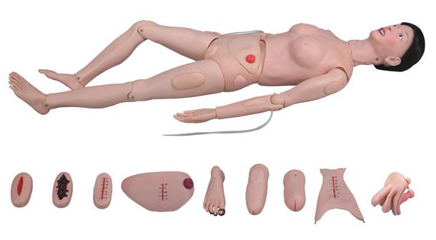 高級(jí)全功能護(hù)理人訓(xùn)練模型（女性）